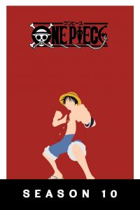 One Piece: Season 10